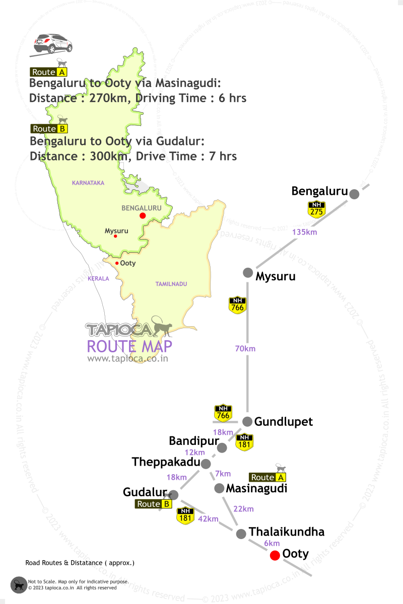 Routes via Masinagudi & Gudalur