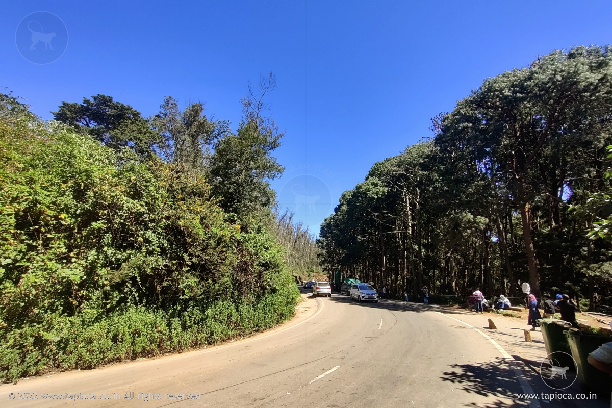 NH 181 road condition near the Pine Forest area on the way to Ooty from Gudalur 